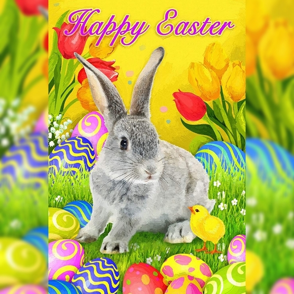 Meet your Posher, Fati - Picture 2 of 2